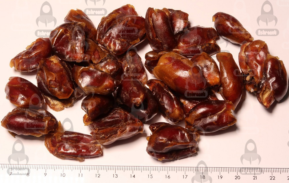 Unpitted Sayer Dates